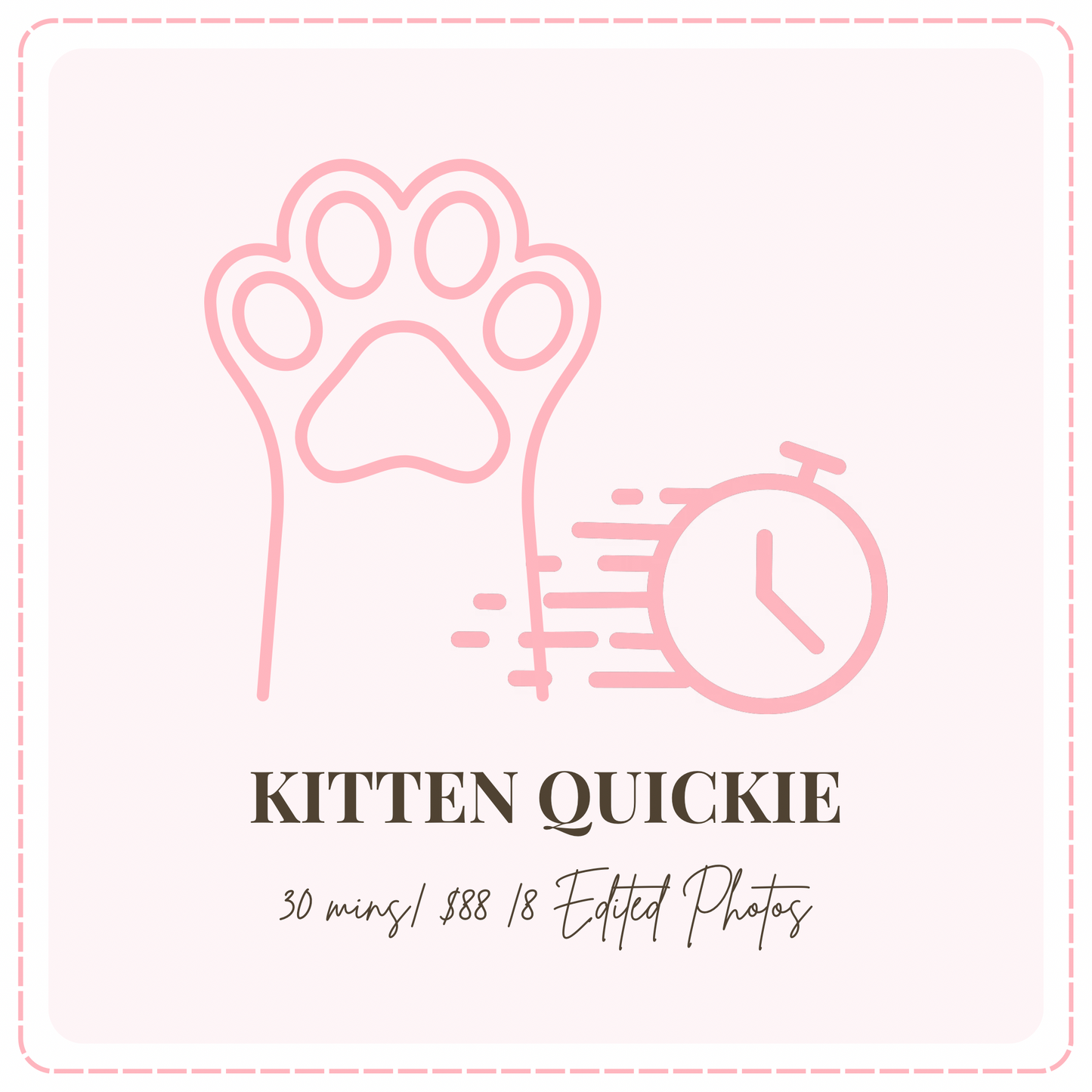 🐱 Kitten Quickie- Cat Photoshoot Singapore — 30 Min