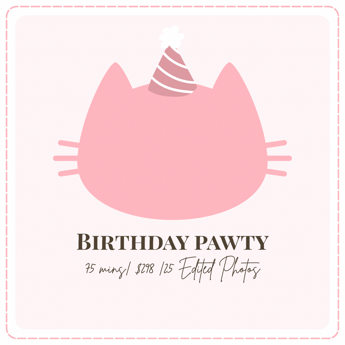 🎂 Birthday Pawty - Cat Portrait Photoshoot Singapore — 90 Min Session
