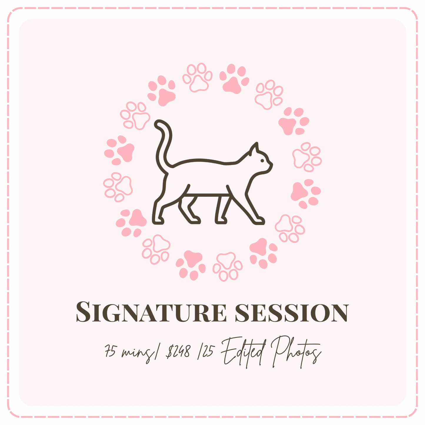 ✨ Signature Session- Cat Portrait Photoshoot Singapore — 75 Min Session