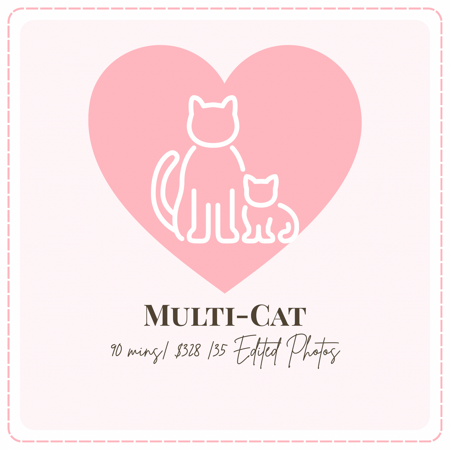 🐾 Multi-Cat - Cat Portrait Photoshoot Singapore — 90 Min Session