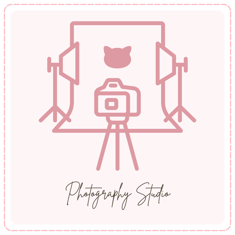 Studio Rental | Photography|Content Creator Day| Video