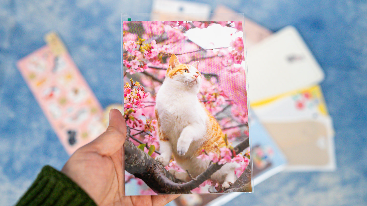 Cat Lover Stationery Bundle- Set A