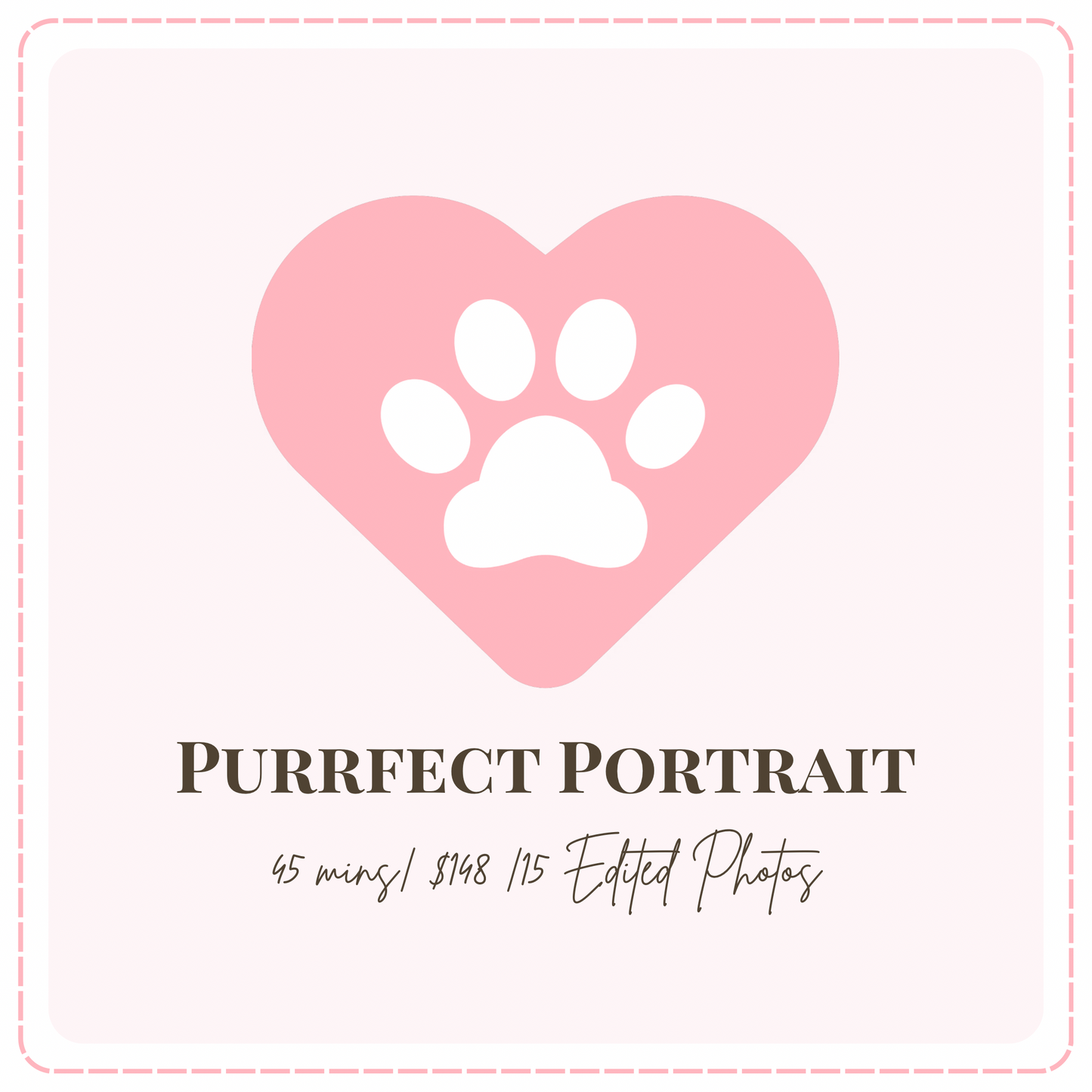 🌸 Purrfect Portrait- Cat Portrait Photoshoot Singapore — 45 Min Session