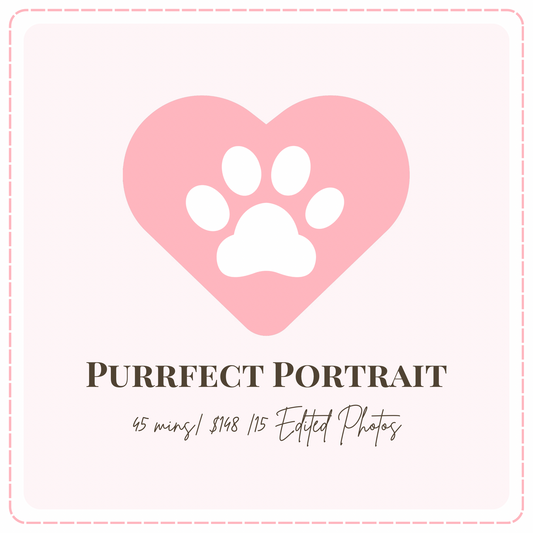 🌸 Purrfect Portrait- Cat Portrait Photoshoot Singapore — 45 Min Session