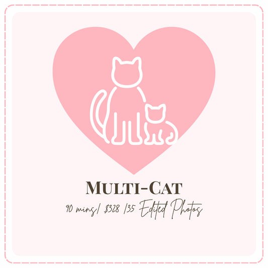 🐾 Multi-Cat - Cat Portrait Photoshoot Singapore — 90 Min Session