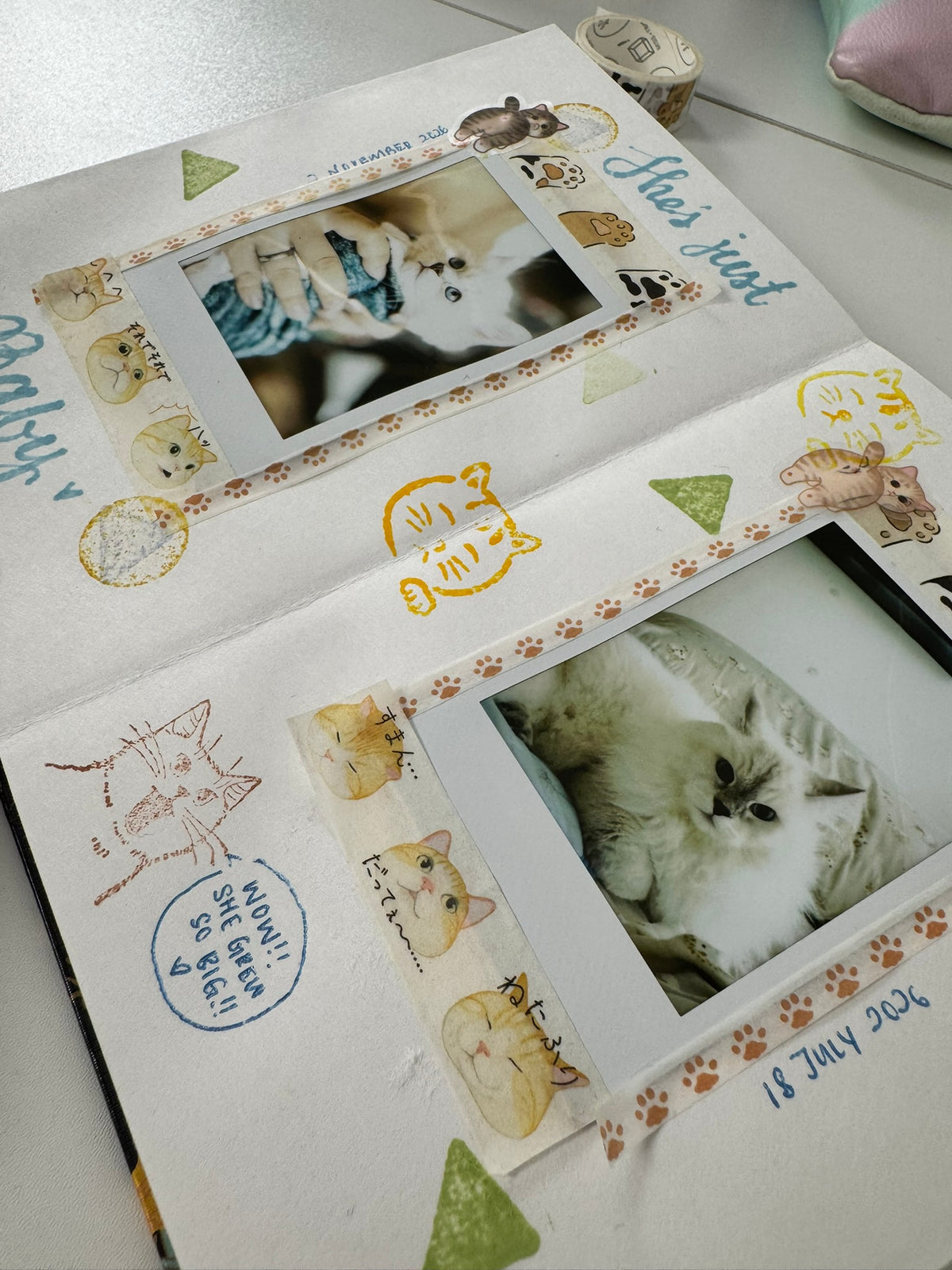 🐱 Cat Themed Journaling Workshop
