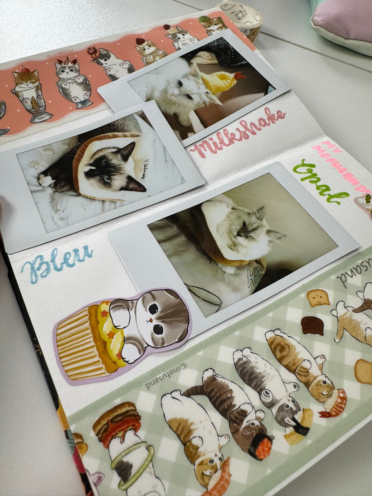 🐟 Mofusand Themed Journaling Workshop