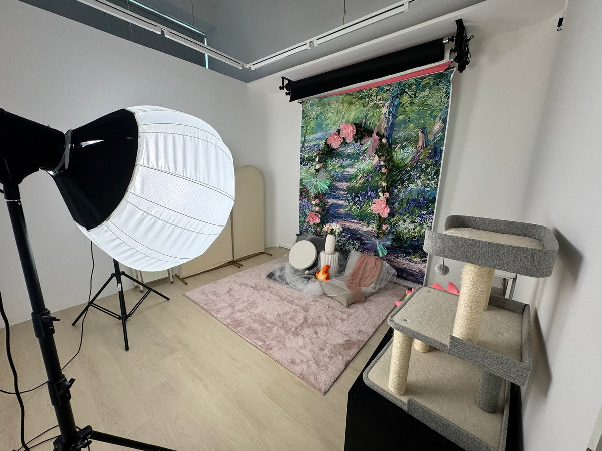 Weekend Studio Rental Hourly Rate— Photoshoots. Video Recoding · Workshops · Events. Co-Working